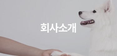 회사소개
