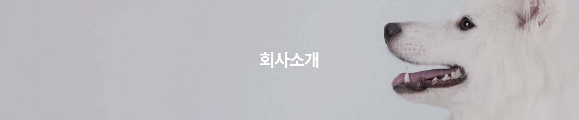 회사소개